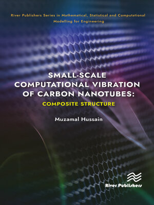 cover image of Small-Scale Computational Vibration of Carbon Nanotubes